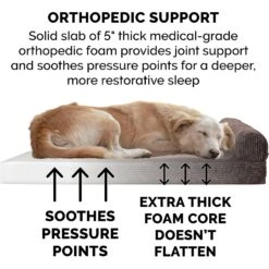 FurHaven Chaise Lounge Orthopedic Cat & Dog Bed With Removable Cover -Cozy Paws 198871 PT5. AC SS1800 V1585665726