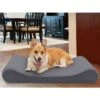 FurHaven Microvelvet Luxe Lounger Memory Foam Dog Bed With Removable Cover