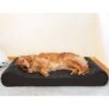 FurHaven Ultra Plush Luxe Lounger Cooling Gel Dog Bed With Removable Cover -Cozy Paws 198957 MAIN. AC SS1800 V1627619532