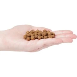 Country Vet Naturals 24-10 Senior Dog Food -Cozy Paws 199189 PT2. AC SS1800 V1569428933