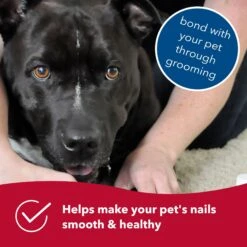 Safari Diamond Dog Nail File -Cozy Paws 199978 PT5. AC SS1800 V1673648654