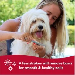 Safari Dog Nail File -Cozy Paws 199980 PT6. AC SS1800 V1678122809