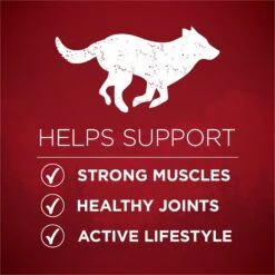 Purina ONE Natural High Protein True Instinct With Real Beef & Salmon Dry Dog Food -Cozy Paws 200861 PT2. AC SS1800 V1674850603