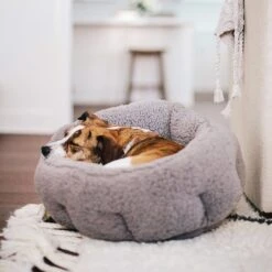 Best Friends By Sheri Sherpa Deep Dish Bolster Cat & Dog Bed W/Blanket & Plush Bone -Cozy Paws 201952 pt5. AC SS1800 V1569264198