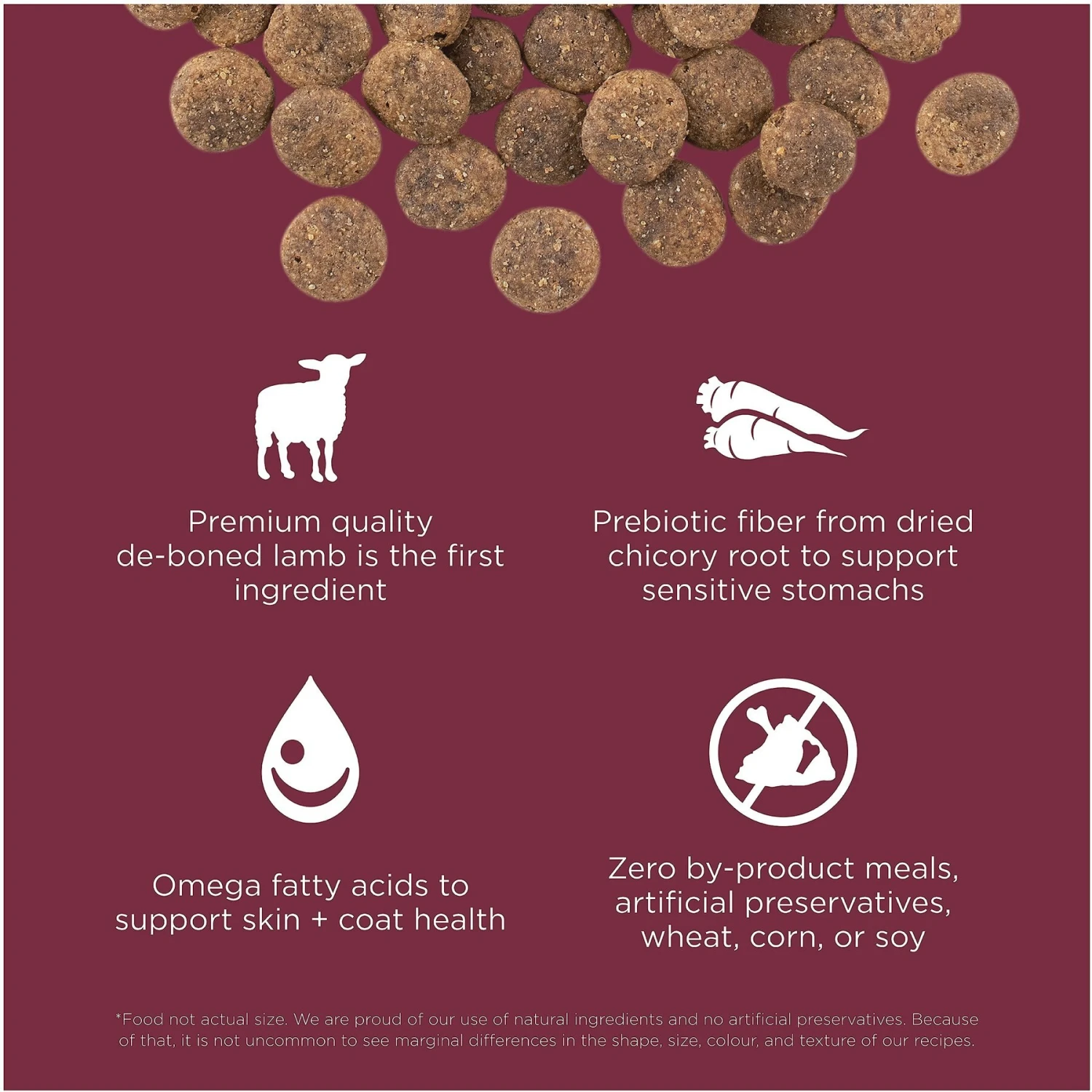 Go! Solutions Sensitivities Limited Ingredient Lamb Grain-Free Dry Dog Food 5 Go! Solutions Sensitivities Limited Ingredient Lamb Grain-Free Dry Dog Food - Image 3