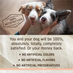 Merrick Limited Ingredient Diet Real Salmon & Brown Rice Recipe With Healthy Grains Dry Dog Food -Cozy Paws 203106 PT7. AC SS1800 V1631593604