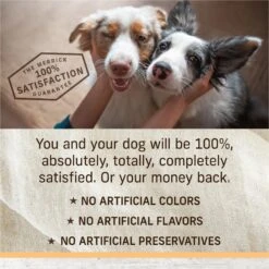 Merrick Limited Ingredient Diet Dry Dog Food Real Chicken & Brown Rice Recipe With Healthy Grains -Cozy Paws 203110 PT7. AC SS1800 V1631589388