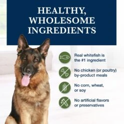 Blue Buffalo Natural Veterinary Diet GI Gastrointestinal Support Low Fat Grain-Free Wet Dog Food -Cozy Paws 203607 PT5. AC SS1800 V1695083009