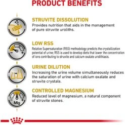 Royal Canin Veterinary Diet Adult Urinary SO Thin Slices In Gravy Canned Dog Food -Cozy Paws 204174 PT1. AC SS1800 V1670425793