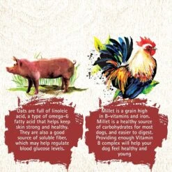 Inception Chicken & Pork Meal Recipe Dry Dog Food -Cozy Paws 205317 PT3. AC SS1800 V1642581991