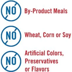 Chicken Soup For The Soul Beef & Legumes Recipe Stew Grain-Free Canned Dog Food, 13-oz, Case Of 12 -Cozy Paws 206301 PT4. AC SS1800 V1600396886