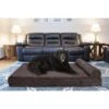 FurHaven Chaise Lounge Memory Top Cat & Dog Bed With Removable Cover -Cozy Paws 206599 MAIN. AC SS1800 V1585666319