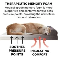 FurHaven Chaise Lounge Memory Top Cat & Dog Bed With Removable Cover -Cozy Paws 206599 PT5. AC SS1800 V1585666370