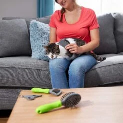 Frisco Beginner Grooming Kit For Dogs And Cats -Cozy Paws 206909 PT6. AC SS1800 V1680186162