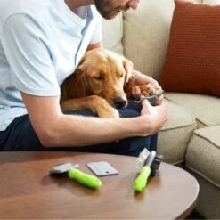 Frisco Beginner Grooming Kit For Dogs And Cats -Cozy Paws 206909 PT7. AC SS1800 V1680186156