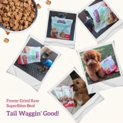 Health Extension Super Bites Beef Recipe Freeze-Dried Raw Dog Food Mixer -Cozy Paws 209695 PT6. AC SS1800 V1700515628
