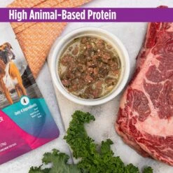 Nulo FreeStyle Beef, Beef Liver, & Kale In Broth Dog Food Topper -Cozy Paws 209727 PT2. AC SS1800 V1666733687