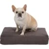 Pet Support Systems Gel Memory Foam Pillow Dog Bed -Cozy Paws 210153 MAIN. AC SS1800 V1577387880