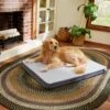 Frisco Cooling Orthopedic Pillow Dog Bed W/Removable Cover -Cozy Paws 210223 MAIN. AC SS1800 V1590067616