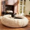 Frisco Eyelash Cat & Dog Bolster Bed -Cozy Paws 210771 MAIN. AC SS1800 V1589289120