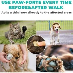 Forticept Paw-Forte Antimicrobial Paw & Nose Dog & Cat Protection Balm, 3-oz Tin -Cozy Paws 214547 PT3. AC SS1800 V1678713592