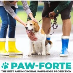 Forticept Paw-Forte Antimicrobial Paw & Nose Dog & Cat Protection Balm, 3-oz Tin -Cozy Paws 214547 PT4. AC SS1800 V1678713591