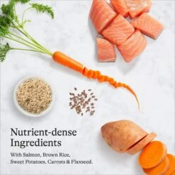 American Journey Protein & Grains Senior Salmon, Brown Rice & Vegetables Recipe Dry Dog Food, 28-lb Bag -Cozy Paws 214831 PT5. AC SS1800 V1680624918
