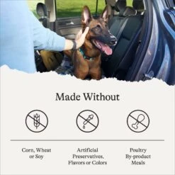 American Journey Protein & Grains Senior Salmon, Brown Rice & Vegetables Recipe Dry Dog Food, 28-lb Bag -Cozy Paws 214831 PT6. AC SS1800 V1680624917