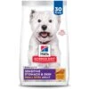 Hill's Science Diet Adult Sensitive Stomach & Sensitive Skin Small Bites Dry Dog Food -Cozy Paws 215264 MAIN. AC SS1800 V1660574183