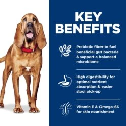 Hill's Science Diet Adult Sensitive Stomach & Skin Large Breed Chicken & Barley Recipe Dry Dog Food 15 Hill's Science Diet Adult Sensitive Stomach & Skin Large Breed Chicken & Barley Recipe Dry Dog Food -Cozy Paws 215266 PT4. AC SS1800 V1635881499