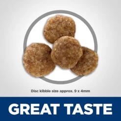 Hill's Science Diet Adult 1-6 Chicken & Brown Rice Recipe Small Bites Dry Dog Food -Cozy Paws 215350 PT2. AC SS1800 V1595612157