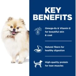 Hill's Science Diet Adult 1-6 Chicken & Brown Rice Recipe Small Bites Dry Dog Food -Cozy Paws 215350 PT4. AC SS1800 V1602638265