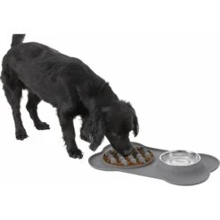 Frisco Silicone Slow Feeder Mat With Stainless Steel Bowl -Cozy Paws 215983 PT5. AC SS1800 V1605666752