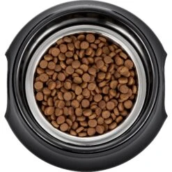 Frisco Stainless Steel Bowl With Elevated Stand 13 Frisco Stainless Steel Bowl With Elevated Stand -Cozy Paws 216020 PT4. AC SS1800 V1591020427