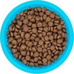 Frisco Plastic Suction Bowl, Blue -Cozy Paws 216037 PT4. AC SS1800 V1591020655