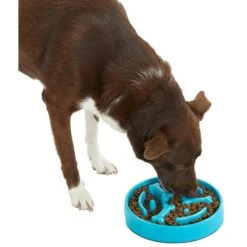 Frisco Bone Shaped Ridges Slow Feed Bowl -Cozy Paws 216041 PT6. AC SS1800 V1605664049