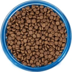 Frisco Chevron Design Glass Bowl With Silicone Sleeve -Cozy Paws 216049 PT4. AC SS1800 V1591020735