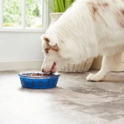 Frisco Chevron Design Glass Bowl With Silicone Sleeve -Cozy Paws 216049 PT7. AC SS1800 V1605664319