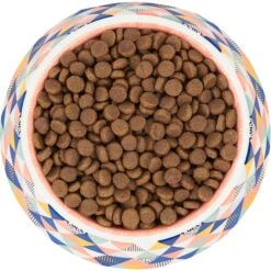 Frisco Colorful Geometric Melamine Bowl -Cozy Paws 216054 PT4. AC SS1800 V1591020757