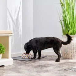 Frisco Colorful Geometric Melamine Bowl -Cozy Paws 216054 PT7. AC SS1800 V1605662213