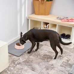 Frisco Southwest Melamine Bowl -Cozy Paws 216064 PT7. AC SS1800 V1605653262