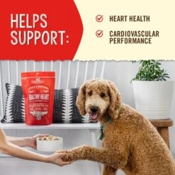 Stella & Chewy's Stella's Solutions Healthy Heart Support Chicken Freeze-Dried Raw Dog Food -Cozy Paws 216634 PT3. AC SS1800 V1580221400