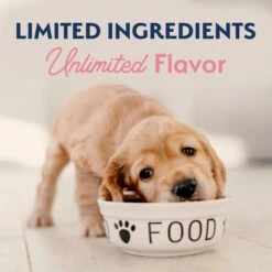 Natural Balance Limited Ingredient Salmon & Brown Rice Puppy Recipe Dry Dog Food -Cozy Paws 216675 PT8. AC SS1800 V1652124775