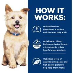 Hill's Prescription Diet K/d Kidney Care Variety Pack Wet & Dry Dog Food -Cozy Paws 217399 PT4. AC SS1800 V1698436578