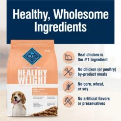 Blue Buffalo True Solutions Healthy Weight Natural Weight Control Chicken Adult Dry Dog Food -Cozy Paws 218276 PT5. AC SS1800 V1676653966