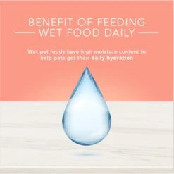 Blue Buffalo True Solutions Healthy Weight Natural Weight Control Chicken Adult Wet Dog Food -Cozy Paws 218278 PT6. AC SS1800 V1676653189