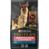 Purina Pro Plan Sensitive Skin & Stomach Salmon Adult Large Breed Formula Dry Dog Food