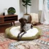 Happy Hounds Marley Donut Dog Bed -Cozy Paws 219123 MAIN. AC SS1800 V1698936736