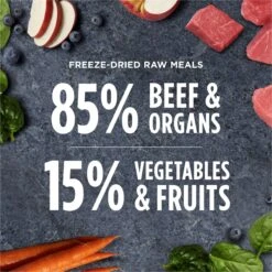 Instinct Freeze-Dried Raw Meals Real Beef Recipe Grain-Free Dog Food -Cozy Paws 219420 PT5. AC SS1800 V1690554615