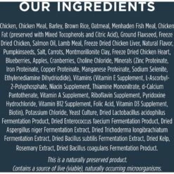 Instinct Raw Boost Puppy Whole Grain Real Chicken & Brown Rice Recipe Freeze-Dried Raw Coated Dry Dog Food -Cozy Paws 219423 PT6. AC SS1800 V1663713533